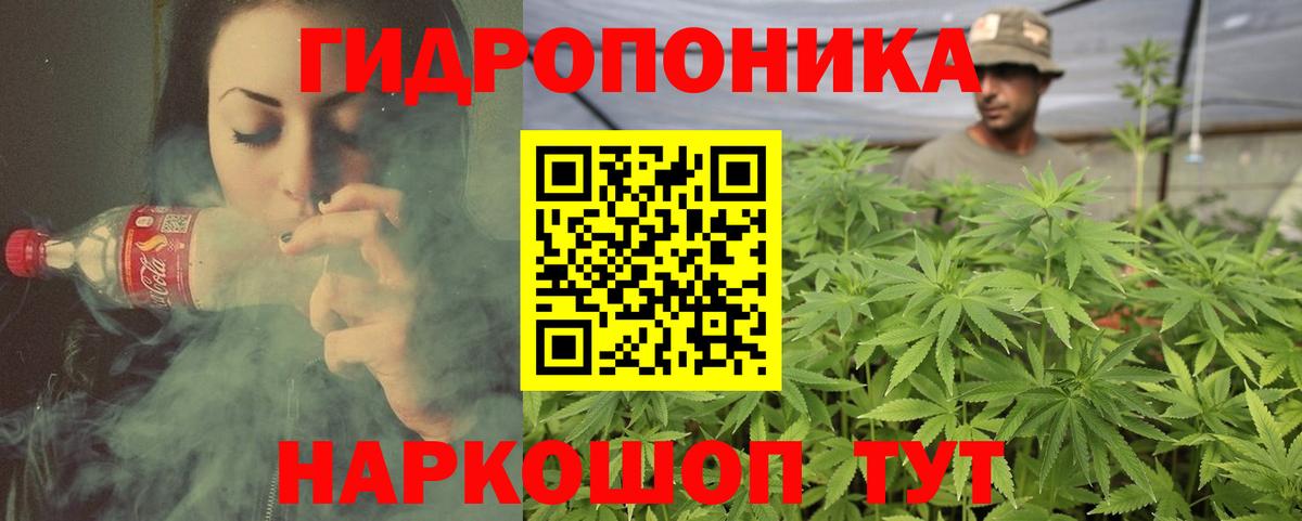 Конопля OG Kush Ульяновск